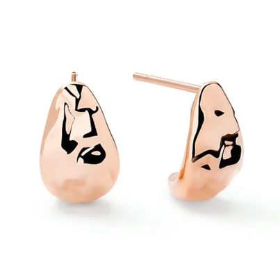 Custom Brand Jewelry Luxury Wholesale Best Selling 925 Silver Hoop Earrings for Women